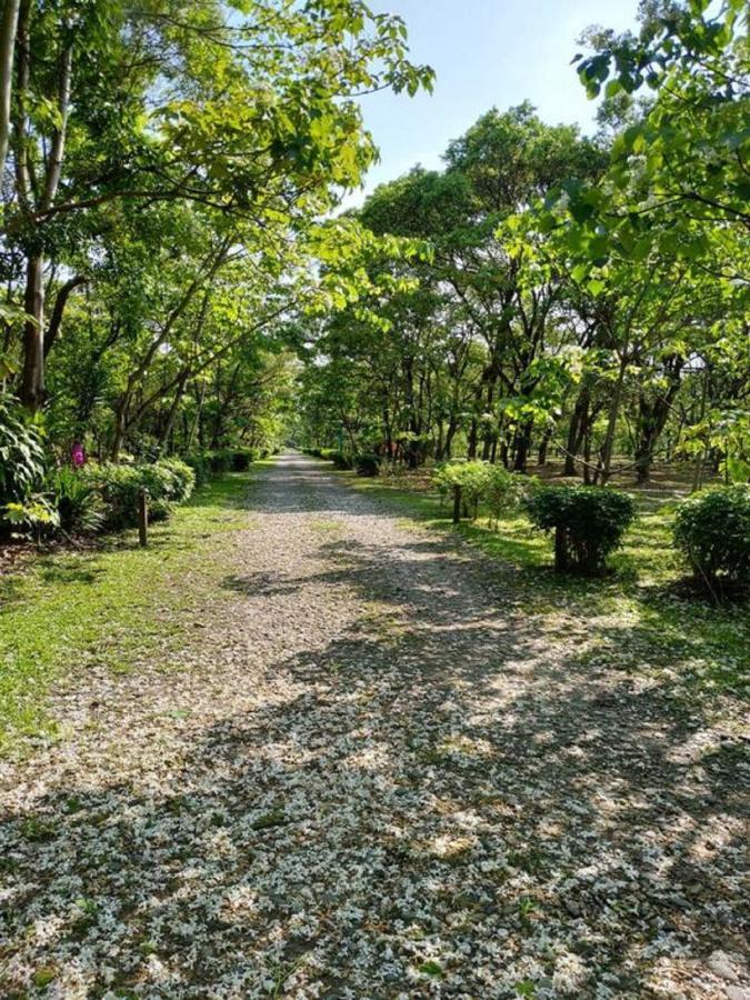 花蓮金澤居民宿樹窩民宿御安居民宿寵物友善 جيان المظهر الخارجي الصورة
